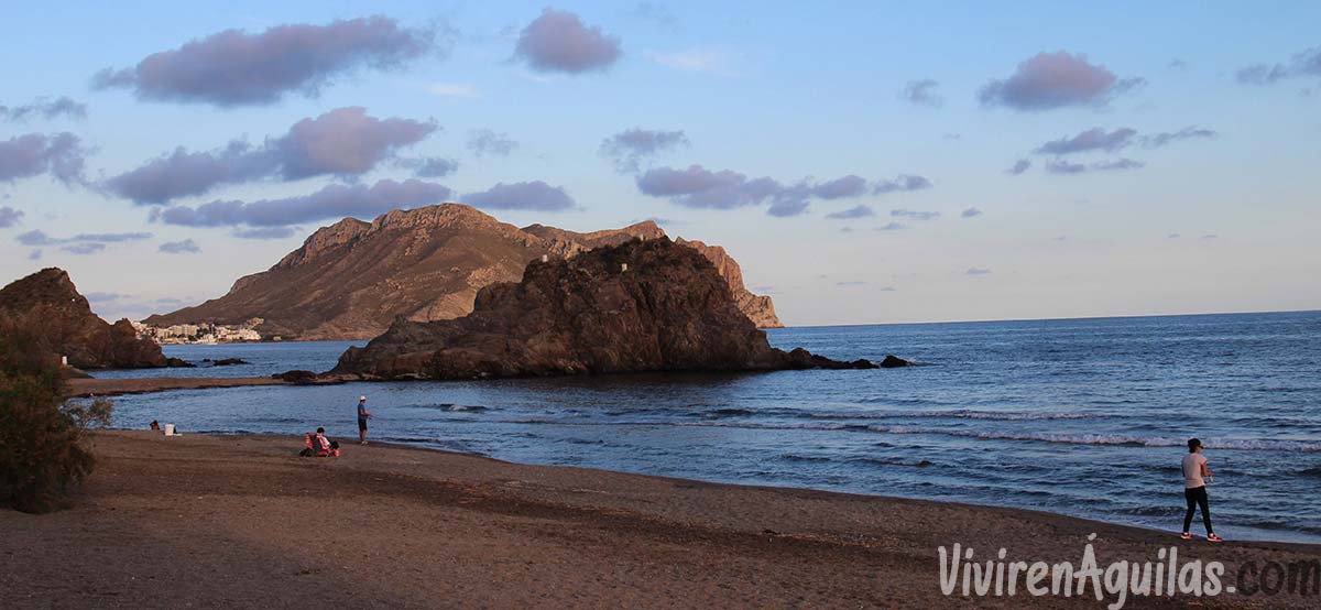 portada playa del arroz