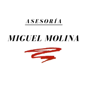 asesoría Miguel Molina